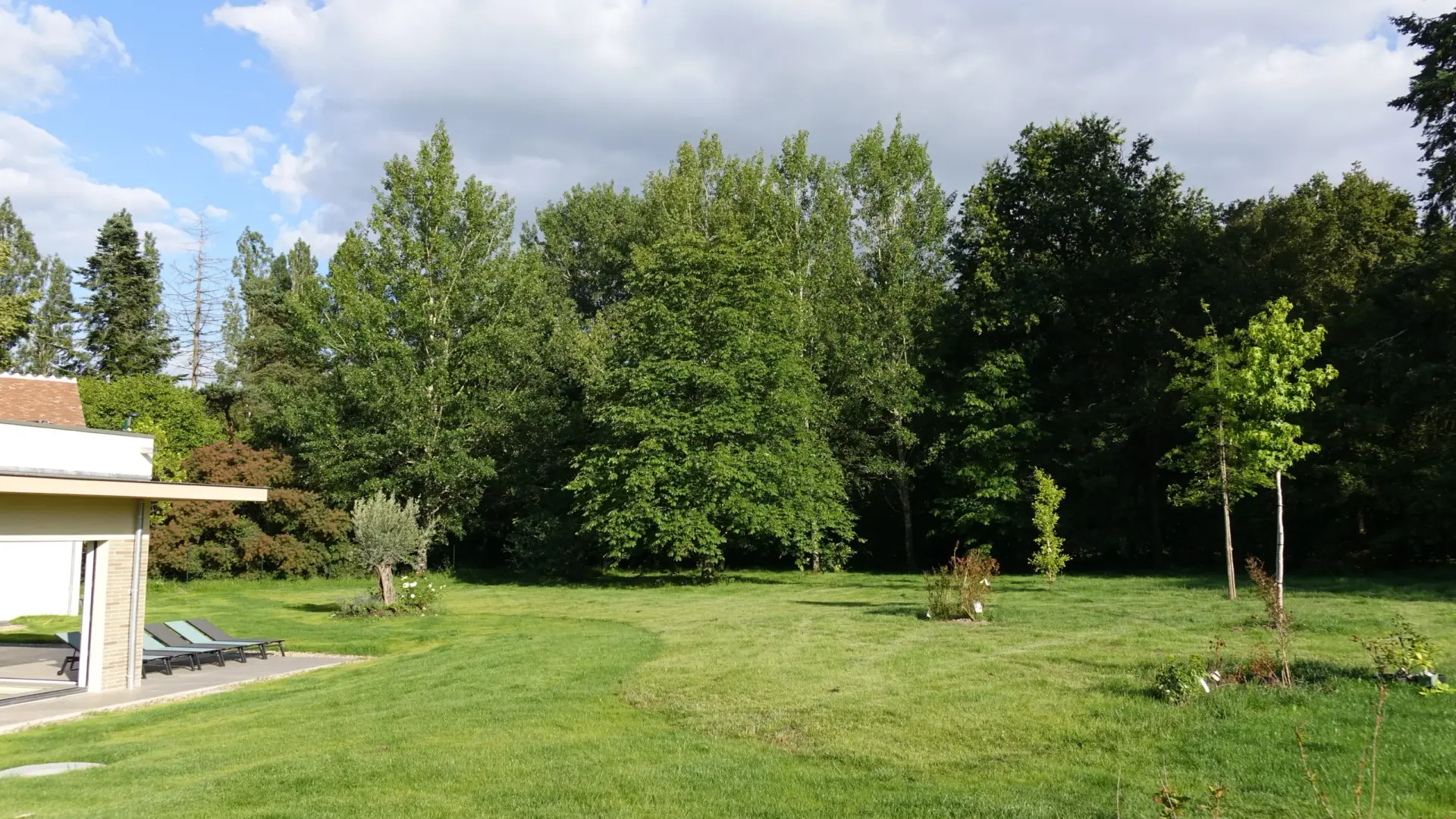 Le jardin arboré en lisière de forêt