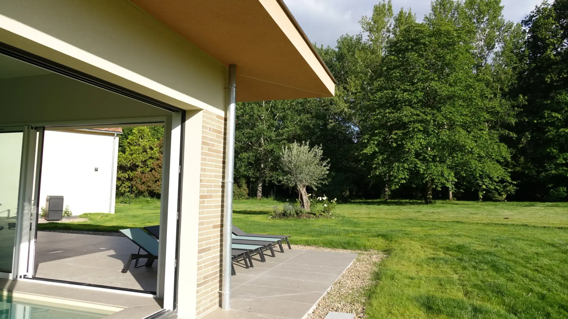 La terrasse de la piscine, ses transats et un olivier