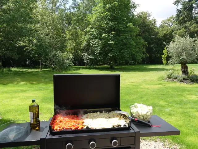 The barbecue on the terrace